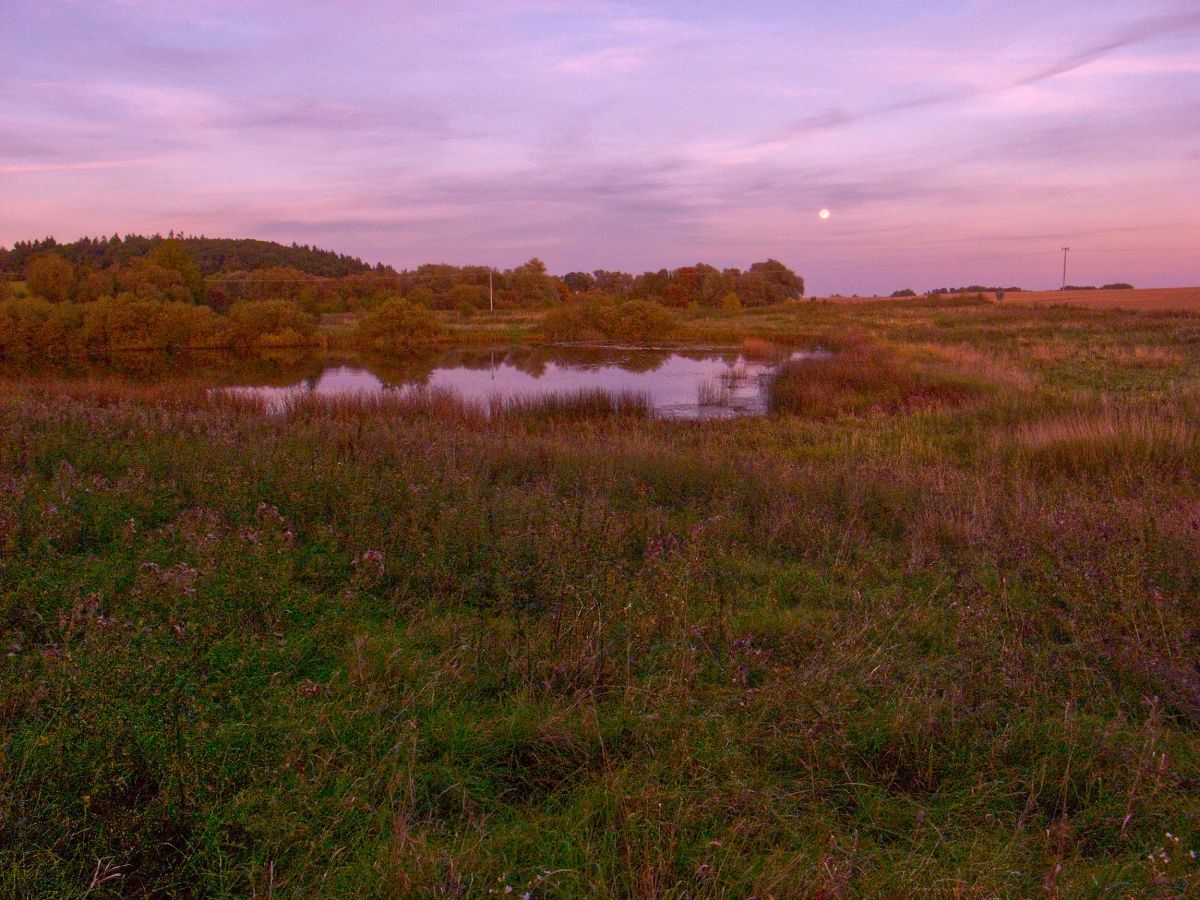 Naturpark Stettiner Haff, permanent exhibition footage